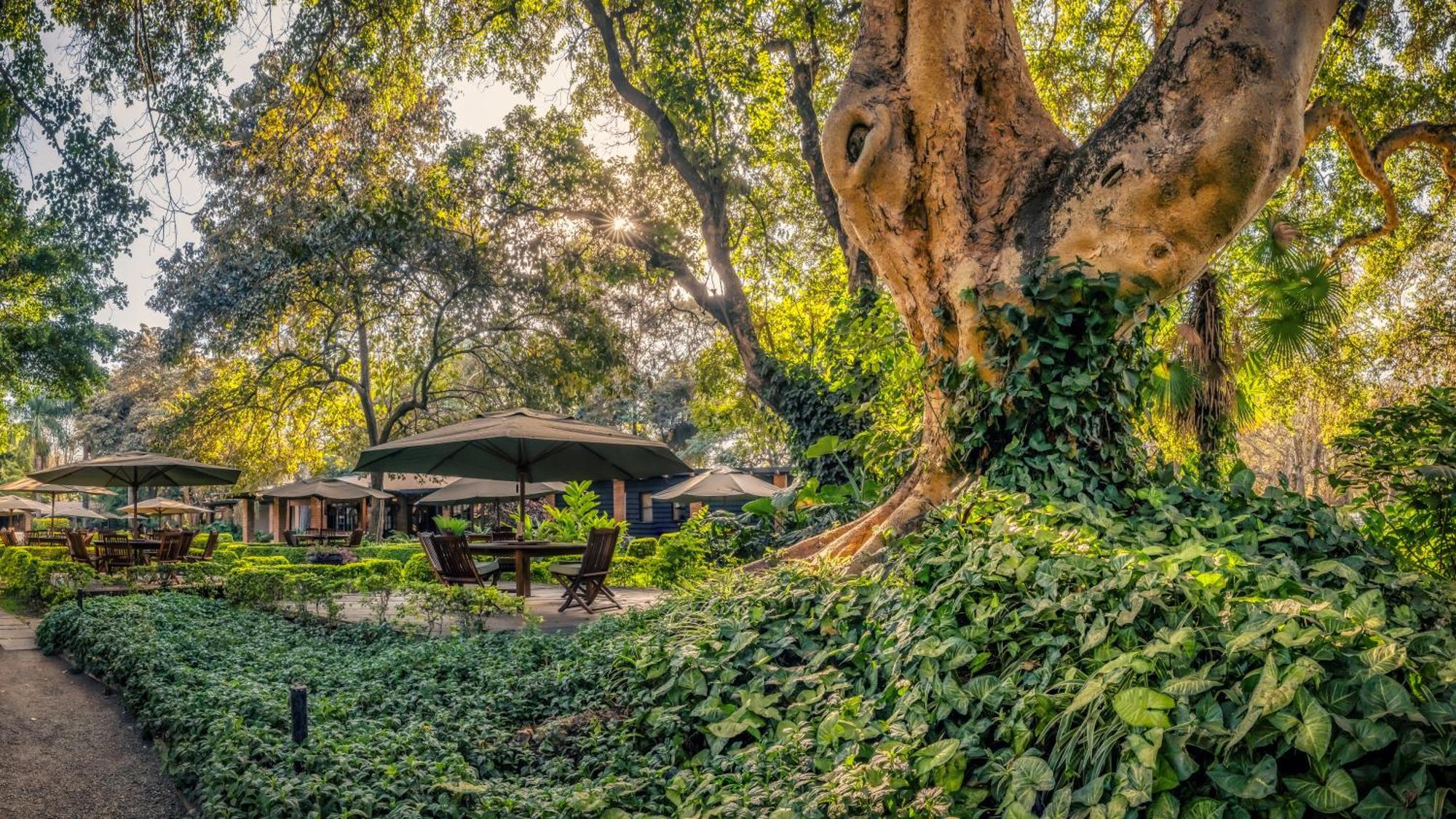 Elewana Arusha Coffee Lodge Exterior foto